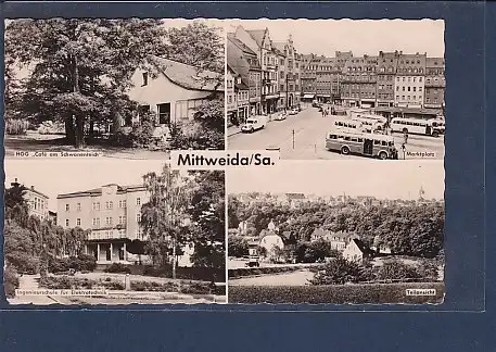 AK Mittweida / Sa. 4.Ansichten HOG Cafe am Schwanenteich 1962