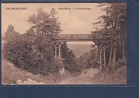 AK Halberstadt Neue Brücke i.d. Spiegelsbergen 1914