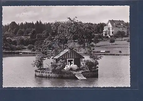 AK Hahnenklee / Harz - Schwanenteich 1958