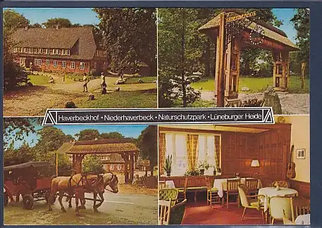 AK Haverbeckhof Niederhaverbeck Naturschutzpark 4.Ansichten 1970
