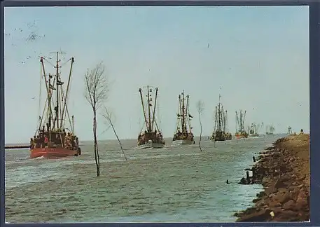 AK Friedrichskoog ( Nordsee) Regatta der Krabbenkutter 1986