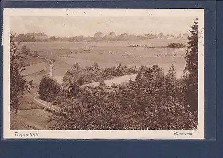 AK Trippstadt Panorama 1943