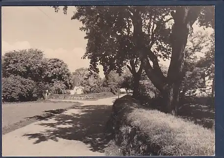 Photo AK Sylt 1950