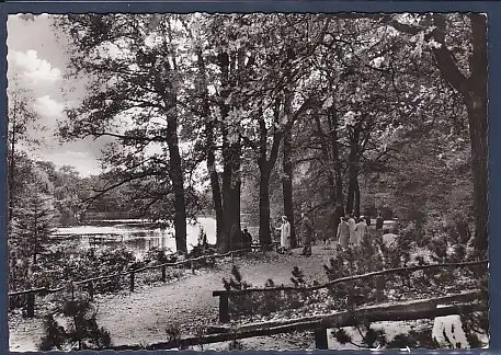 AK Berlin Waidmannslust Steinbergpark 1960