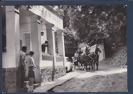 AK Angermünde HO Hotel Gehegemühle Touristik mit Pferden 1973