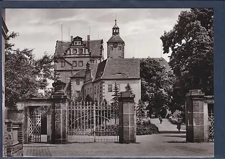 AK Eisenmoorbad Pretzsch Schloß jetzt Kinderheim 1979
