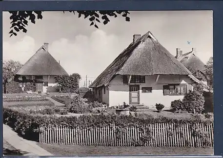 AK Ostseebad Wustrow - Fischlandhäuser 1969