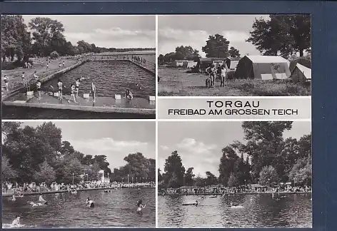 AK Torgau Freibad am Grossen Teich 4.Ansichten 1985