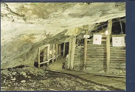 AK Waschleithe Lehr und Schaubergwerk Herkules Frisch Glück Durchgang am See 1986