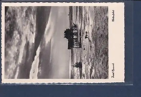 AK Insel Neuwerk Wattenfahrt 1950