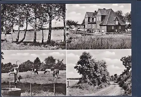 AK Ferienlandhaus Abildgaard m. Umgebung St. Michaelisdonn 4.Ansichten 1968