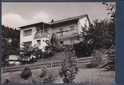 AK Luftkurort Warmensteinach Haus Brix 1960