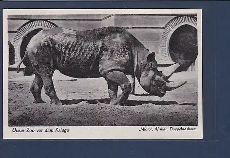 AK Unser Zoo vor dem Kriege Mtoto Afrikan. Doppelnashorn 1940