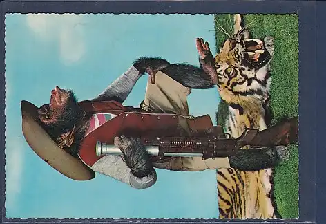AK Affe als Jäger ( Menschengestalt) 1970
