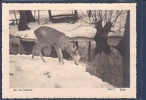 AK An der Tränke 1938