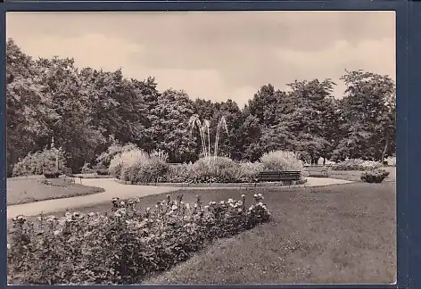 AK Prenzlau - Im Stadtpark 1969