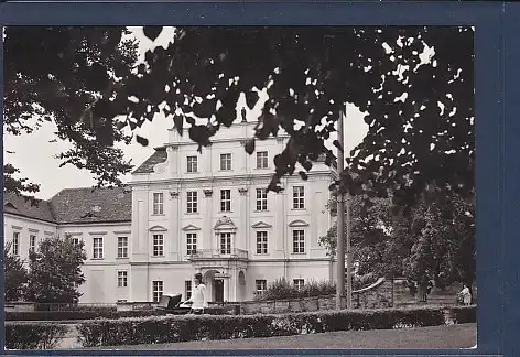 AK Oranienburg Oranienburger Schloß 1981