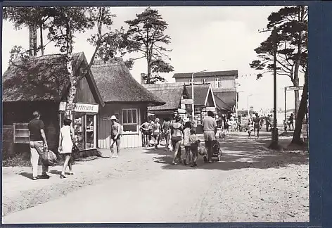 AK Ostseebad Prerow Weg zum Strand 1979