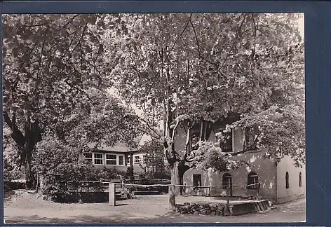 AK Luftkurort Friedewald Gasthaus Buchholz 1981