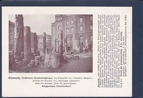 AK Chemnitz Versteinerte Stämme am Westgiebel des Städtischen Museums 1940