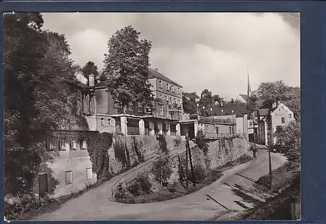 AK Rochsburg a. Mulde HOG Muldenschlößchen 1966