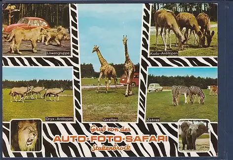 AK Gruß von der Auto Foto Safari Stukenbrock 7.Ansichten 1972