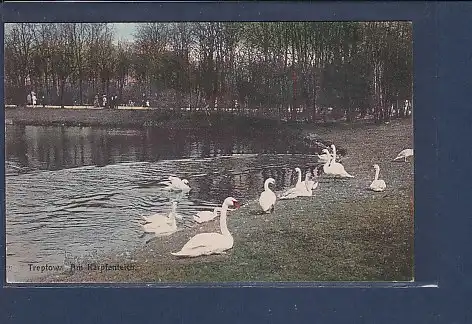 AK Treptow Am Karpfenteich 1912