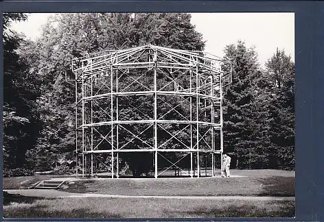 AK Dresden Kamelienbaum im Schloß Pillnitz an der Elbe 1962