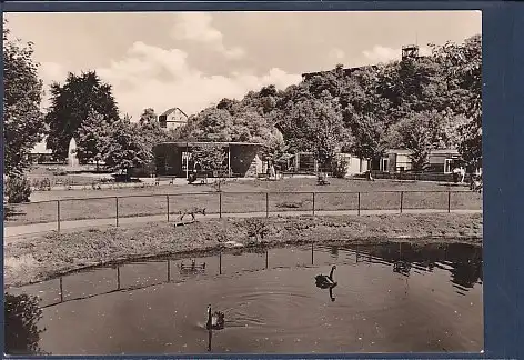 AK Volkssolbad Bad Kösen Tiergehege 1969