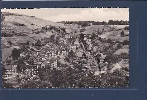 AK Lauscha i. Thür. Wald Tierberg Perthenecke 1967