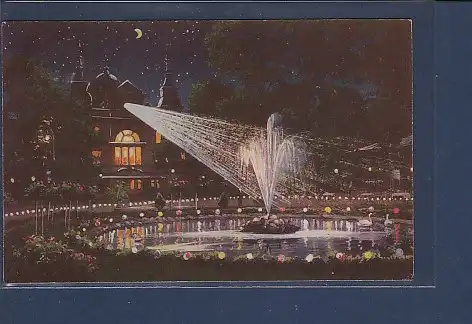 AK Dortmund Fredenbaum Parkanlagen Illumination 1909