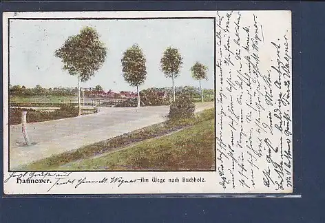AK Hannover Am Wege nach Buchholz 1903