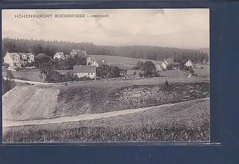 AK Höhenkurort Bockswiese i. Oberharz 1920