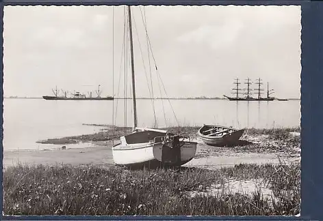 AK Viermastbank Pamir auf der vorletzten Heimreise vor Kollmar / Niederelbe 1960