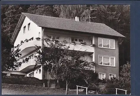 AK Haus Wiesengrund Sprollenhaus bei Wildbad 1978