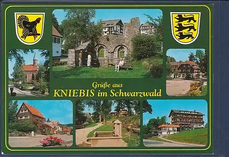 Wappen AK Grüße aus Kniebis im Schwarzwald 6.Ansichten 2000