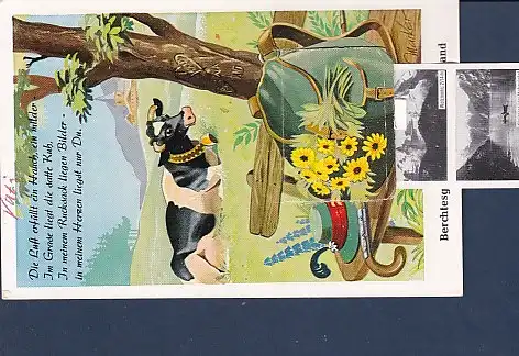 Liporello AK Berchtesgadener Land - Ferienland 1959