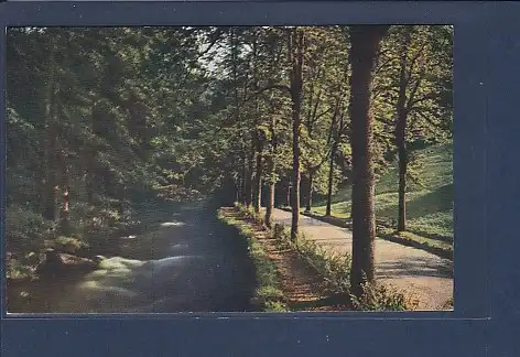 AK Wildbad - Enzanlagen 1920