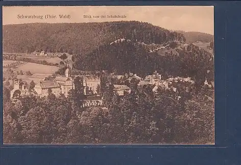 AK Schwarzburg ( Thür. Wald) Blick von der Schabsheide 1930