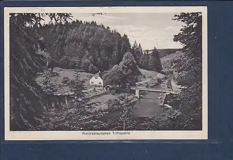 AK Waldrestauration zur Triftsperre 1929