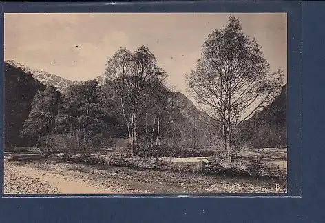 AK The View of the Gregariousness of Willows Called Kesho Yanagi 1920