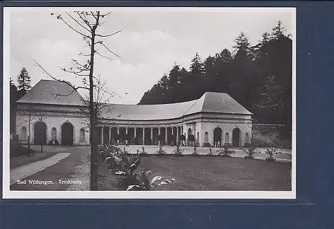 AK Bad Wildungen Trinkhalle 1930