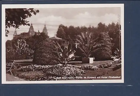 AK Bad Wildungen Partie im Kurpark mit Hotel Fürstenhof 1930