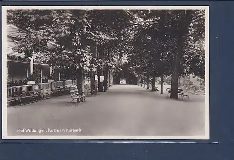 AK Bad Wildungen Partie im Kurpark 1930