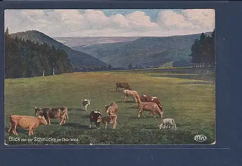 AK Blick von der Schmücke im Thür. Wald Blick nach dem Sachsenstein 1922