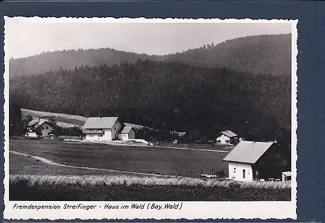 AK Fremdenpension Streifinger Haus im Wald 1953