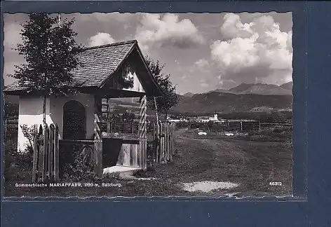 AK Sommerfrische Mariapfarr Salzburg 1957