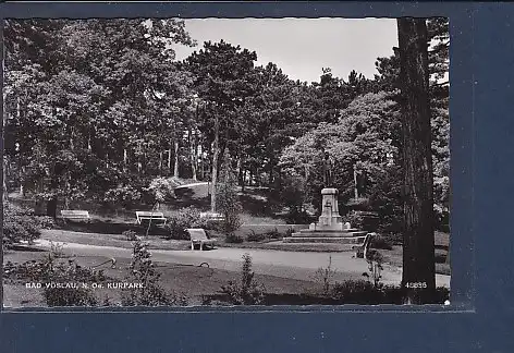 AK Bad Vöslau N.Oe. Kurpark 1962