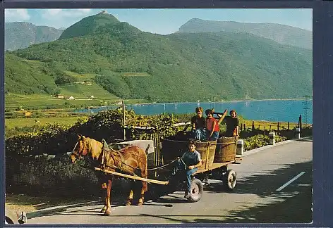 AK Weinlese in Südtirol 1982