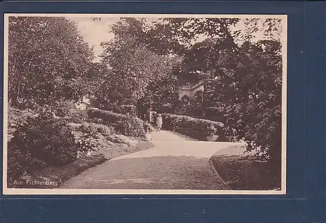 AK Das schöne Berlin Steglitz Am Fichtenberg 1930